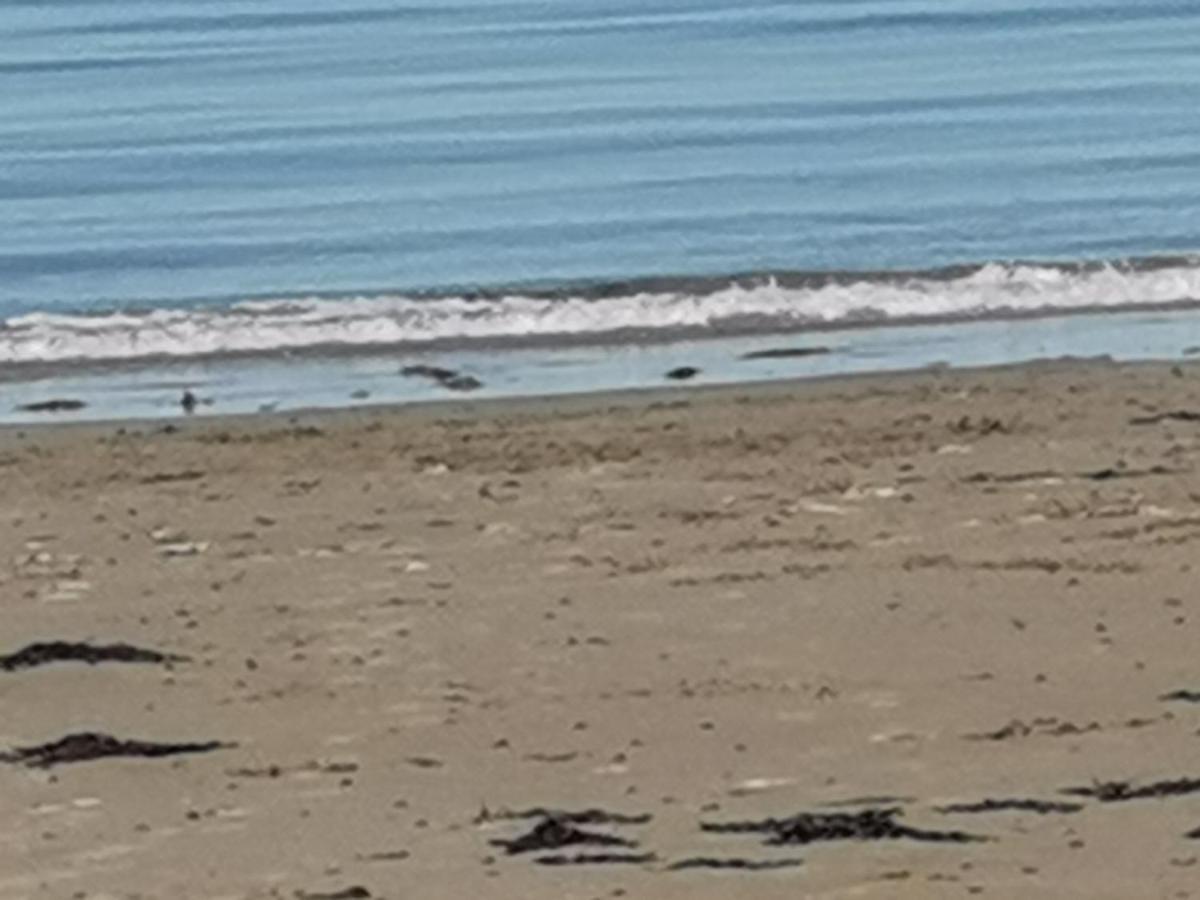 Snowdonia Sunbeach Holiday Sea And Mountain View Llwyngwril Extérieur photo